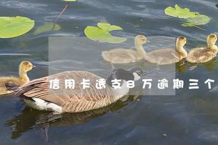 信用卡透支8万逾期三个月