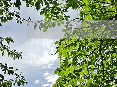 信用卡透支90天算逾期多久 信用卡透支90天算逾期多久