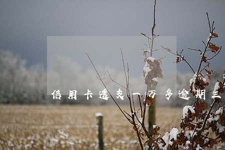 信用卡透支一万多逾期三个月 信用卡透支一万多逾期三个月