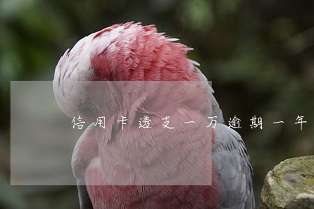 信用卡透支一万逾期一年 信用卡透支一万逾期一年