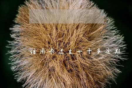 信用卡透支一千多逾期 信用卡透支一千多逾期