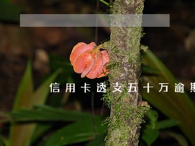信用卡透支五十万逾期判几年 信用卡透支五十万逾期判几年