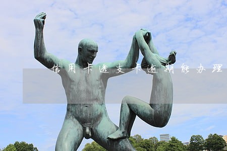 信用卡透支卡逾期能办理吗