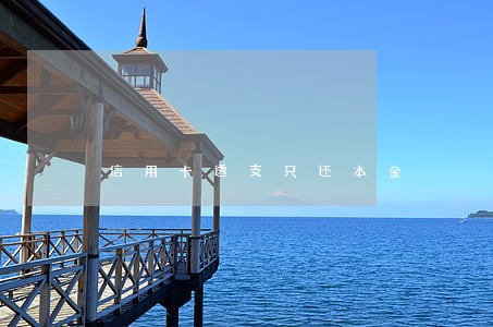 信用卡透支只还本金 信用卡透支只还本金