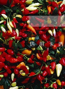 信用卡透支多少天算逾期 信用卡透支多少天算逾期