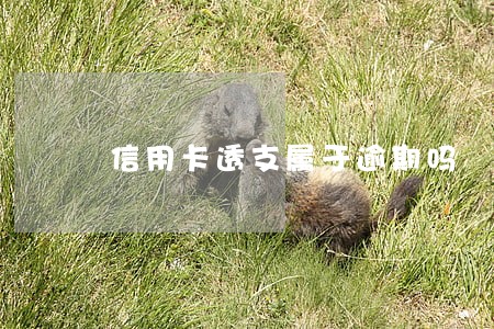 信用卡透支属于逾期吗 信用卡透支属于逾期吗