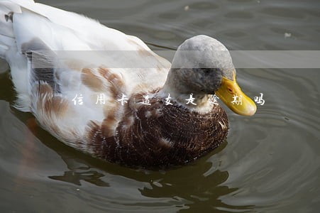 信用卡透支是逾期吗