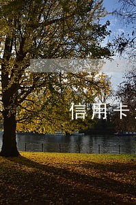 信用卡透支没有逾期怎么处理
