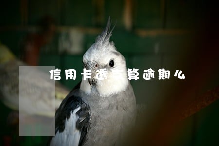 信用卡透支算逾期么