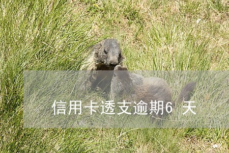 信用卡透支逾期6天 信用卡透支逾期6天