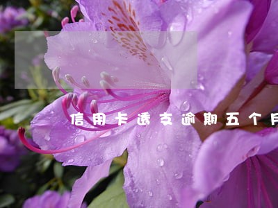 信用卡透支逾期五个月 信用卡透支逾期五个月