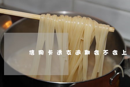 信用卡透支逾期会不会上征信 信用卡透支逾期会不会上征信