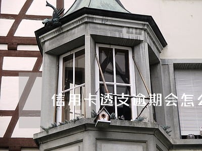 信用卡透支逾期会怎么样