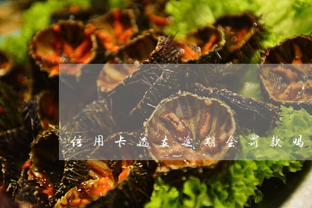 信用卡透支逾期会罚款吗