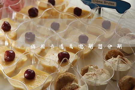 信用卡透支逾期想分期 信用卡透支逾期想分期