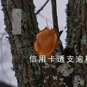 信用卡透支逾期换不上