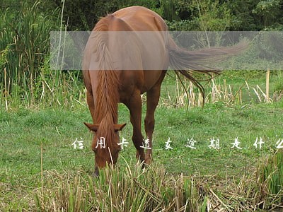 信用卡透支逾期是什么后果 信用卡透支逾期是什么后果