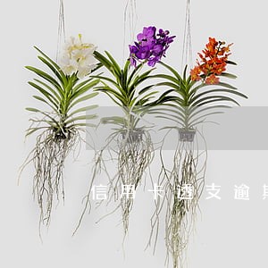 信用卡透支逾期未全部还完 信用卡透支逾期未全部还完