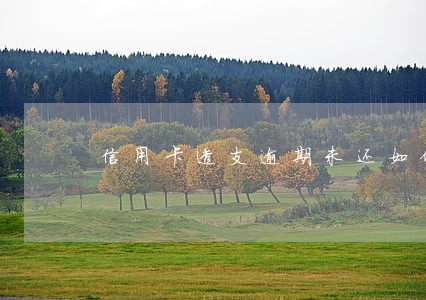 信用卡透支逾期未还如何处罚 信用卡透支逾期未还如何处罚
