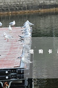 信用卡透支逾期没钱还 信用卡透支逾期没钱还