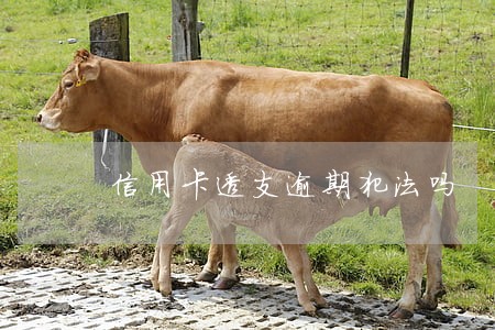 信用卡透支逾期犯法吗 信用卡透支逾期犯法吗