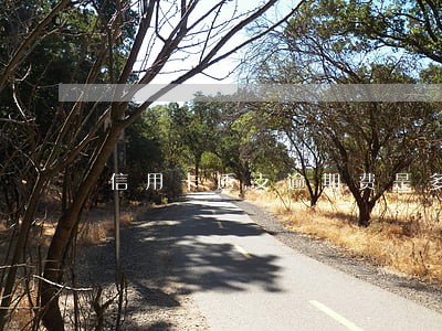 信用卡透支逾期费是多少钱 信用卡透支逾期费是多少钱