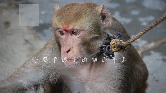 信用卡透支逾期还不上 信用卡透支逾期还不上