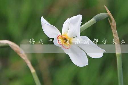 信用卡透支逾期部分怎么算息 信用卡透支逾期部分怎么算息