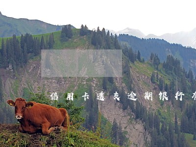 信用卡透支逾期银行有什么处理 信用卡透支逾期银行有什么处理