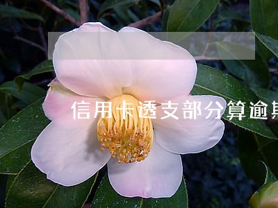 信用卡透支部分算逾期