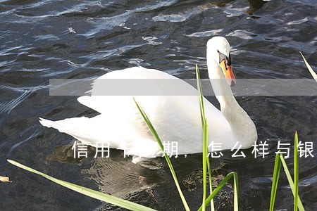 信用卡逾期,怎么样与银行协商停息挂账 信用卡逾期,怎么样与银行协商停息挂账