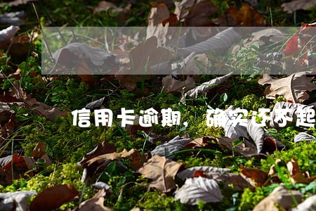 信用卡逾期,确实还不起 信用卡逾期,确实还不起