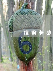 信用卡逾期,银行起诉怎么办 信用卡逾期,银行起诉怎么办
