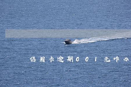 信用卡逾期001元咋办