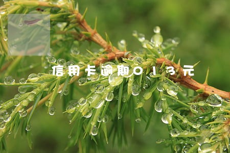 信用卡逾期013元 信用卡逾期013元