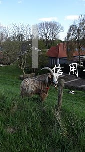 信用卡逾期0531打电话过来 信用卡逾期0531打电话过来
