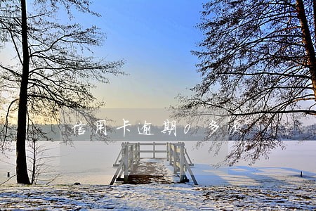 信用卡逾期0多次 信用卡逾期0多次