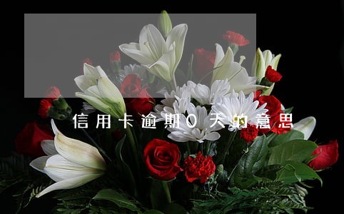 信用卡逾期0天的意思