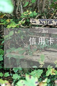 信用卡逾期1-30 信用卡逾期1-30