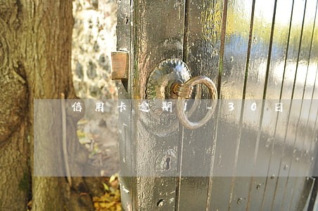 信用卡逾期1-30日