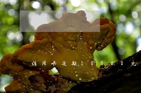 信用卡逾期10000元会坐牢吗 信用卡逾期10000元会坐牢吗