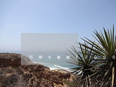 信用卡逾期10000怎么办 信用卡逾期10000怎么办