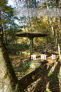 信用卡逾期10000费用