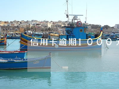 信用卡逾期1000元10年 信用卡逾期1000元10年