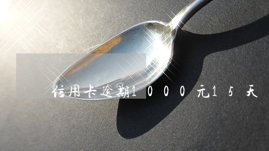 信用卡逾期1000元15天