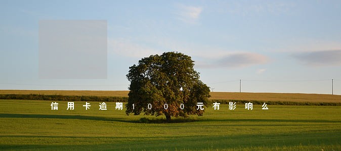 信用卡逾期1000元有影响么 信用卡逾期1000元有影响么