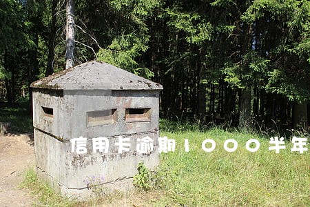 信用卡逾期1000半年
