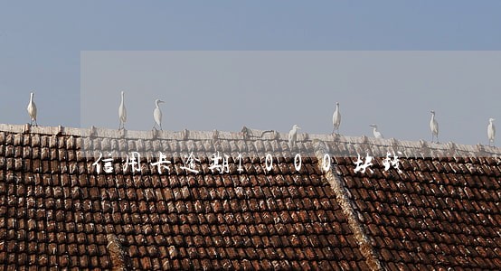 信用卡逾期1000块钱 信用卡逾期1000块钱