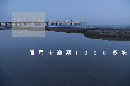 信用卡逾期1000多块钱 信用卡逾期1000多块钱