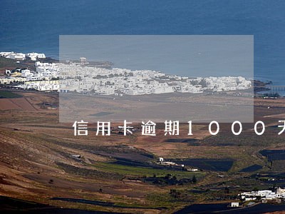 信用卡逾期1000天 信用卡逾期1000天